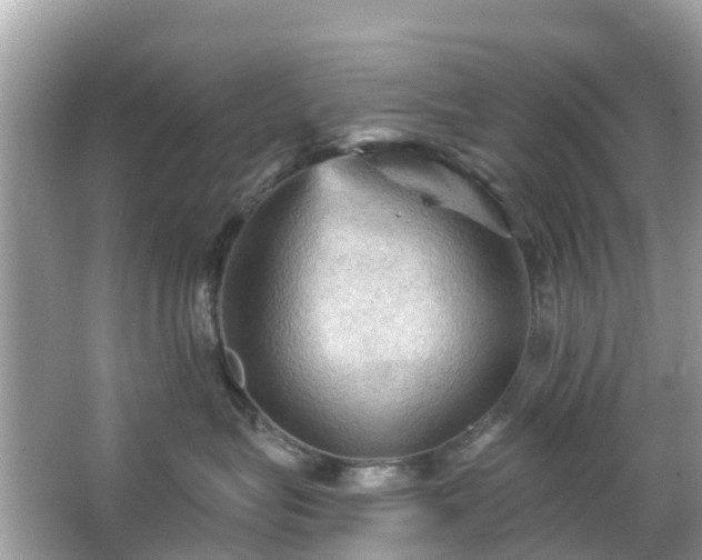 X0000066090575200603131207