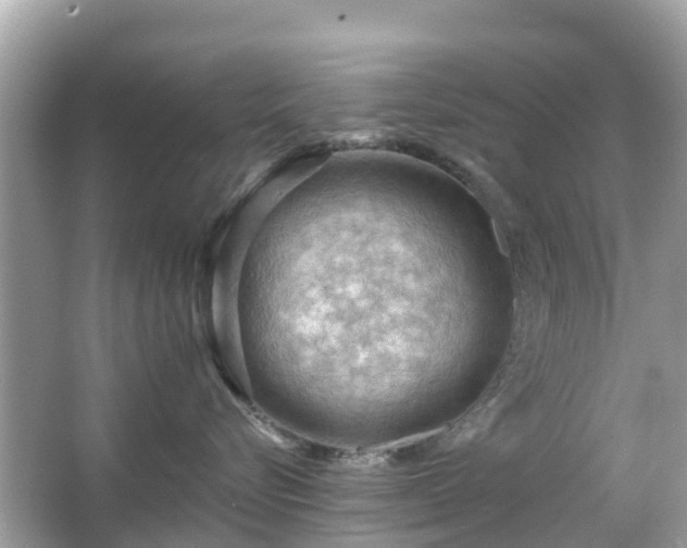 X0000066090576200603131207