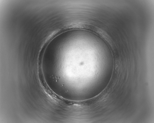 X0000066090578200603131206