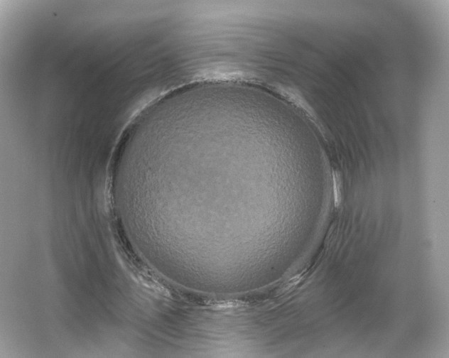 X0000066090579200603131206