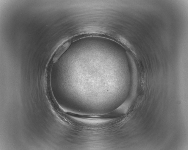 X0000066090580200603131206