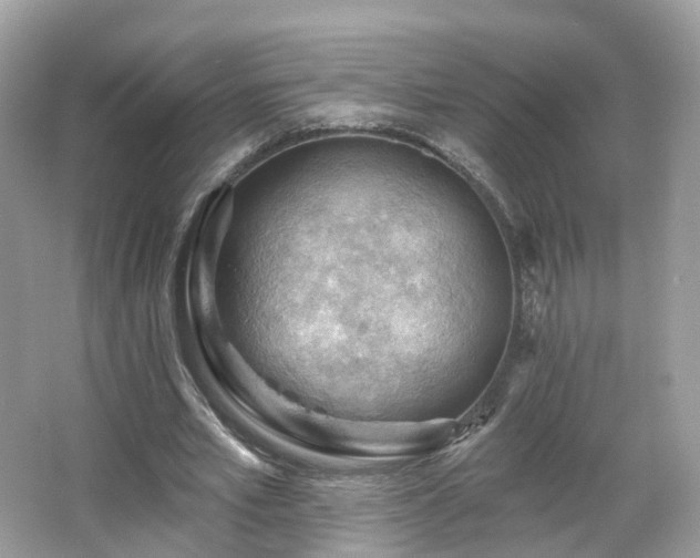 X0000066090581200603131206