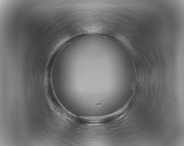 X0000066090583200603131206