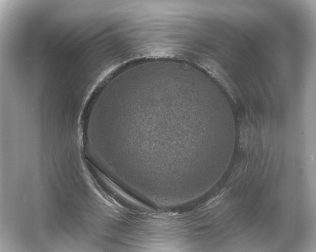 X0000066090584200603131206