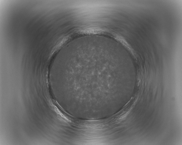 X0000066090585200603131206