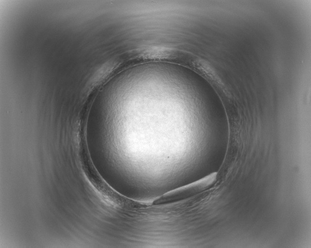 X0000066090586200603131206