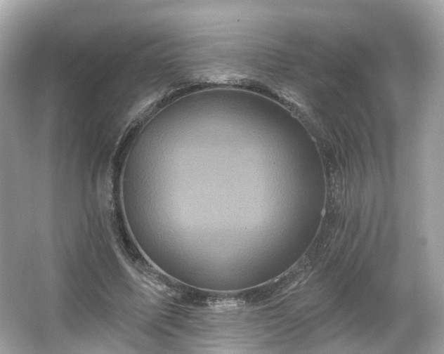 X0000066090587200603131206