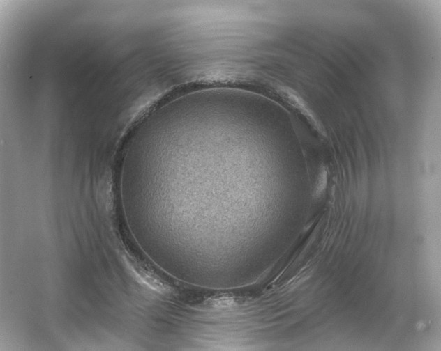 X0000066090588200603131206