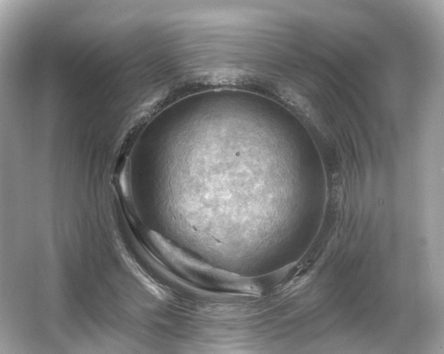 X0000066090589200603131206