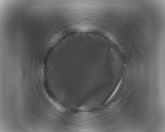 X0000066090590200603131206