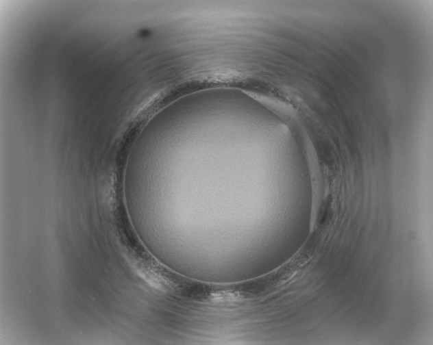 X0000066090591200603131206