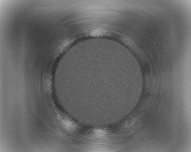 X0000066090592200603131206