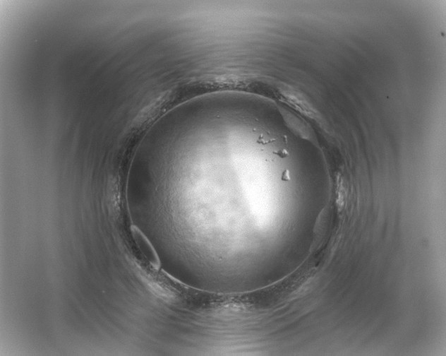 X0000066090593200603131206