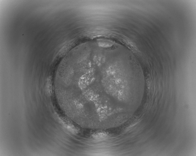 X0000066090594200603131206