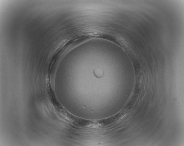 X0000066090595200603131206