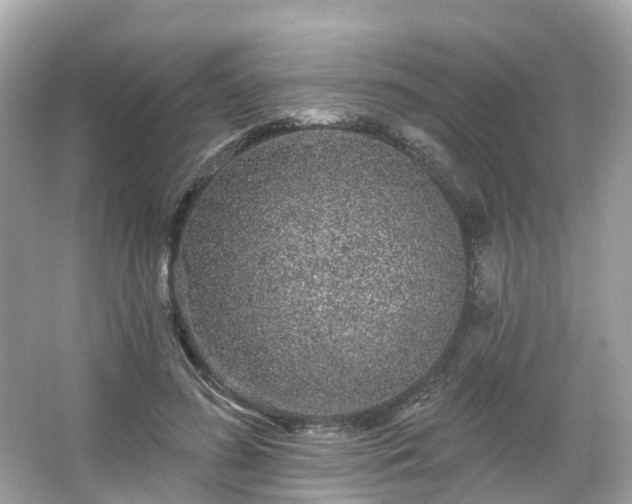 X0000066090596200603131206