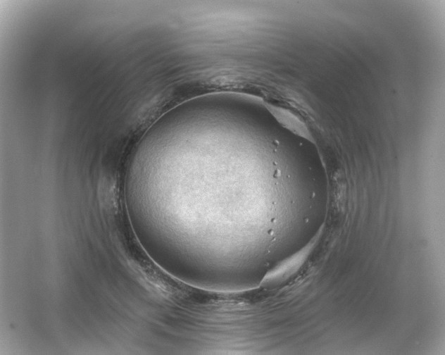 X0000066090597200603131206