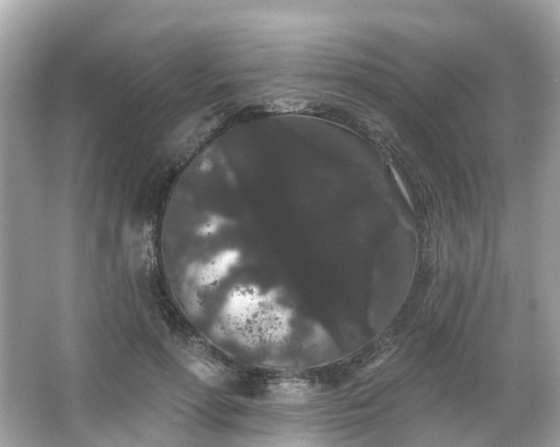 X0000066090598200603131206