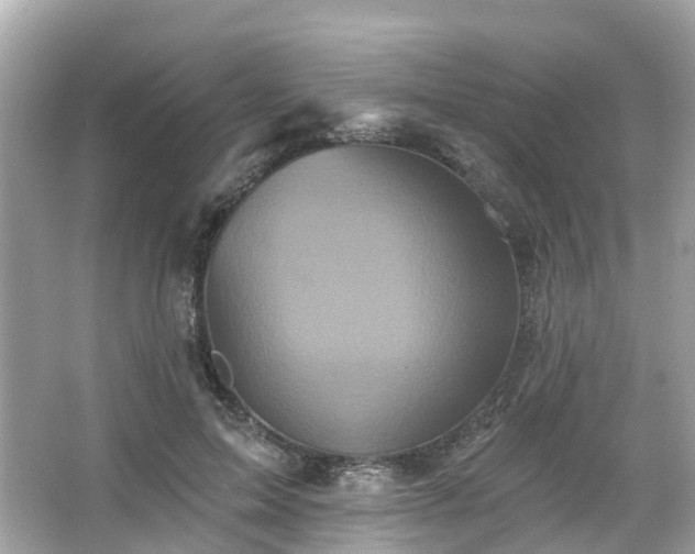 X0000066090599200603131206