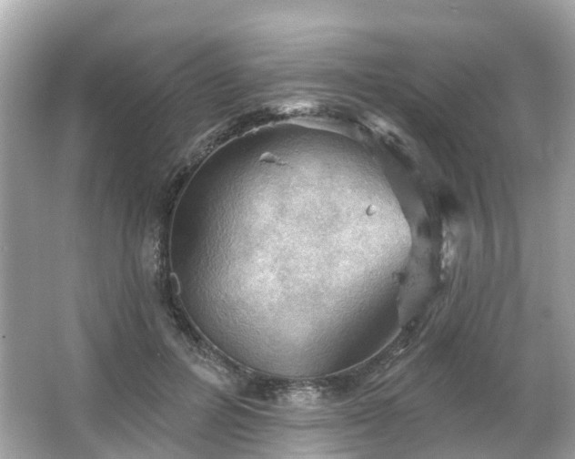 X0000066090600200603131206