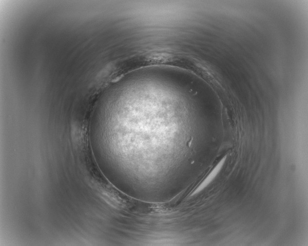 X0000066090601200603131206