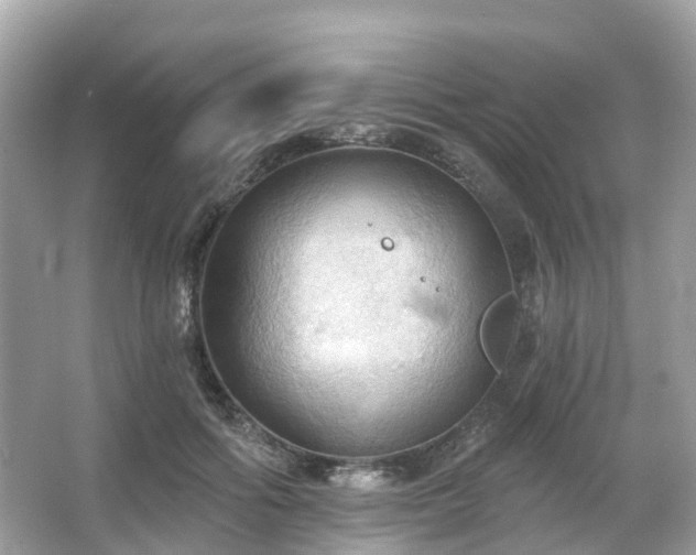 X0000066090602200603131206