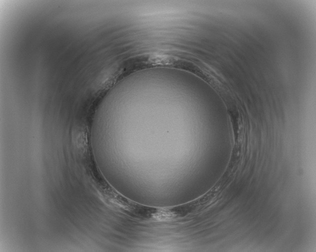 X0000066090603200603131205