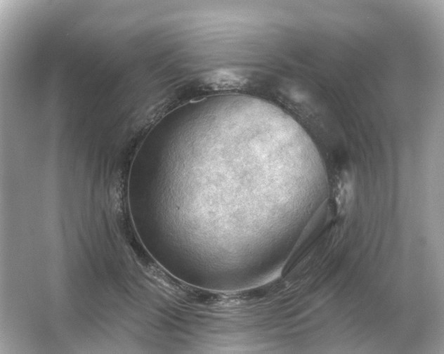 X0000066090604200603131205