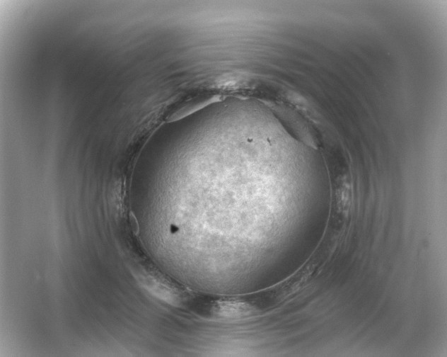 X0000066090605200603131205