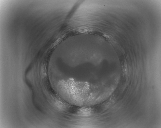 X0000066090606200603131205