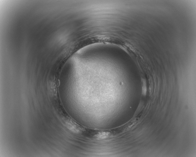 X0000066090609200603131205