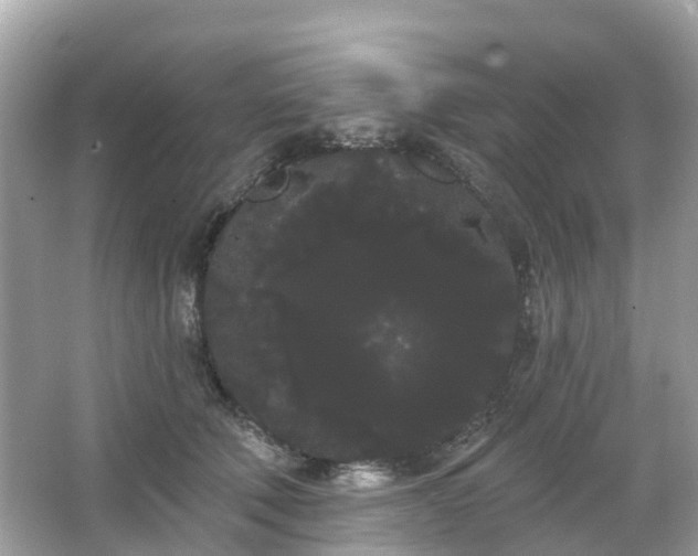 X0000066090610200603131205