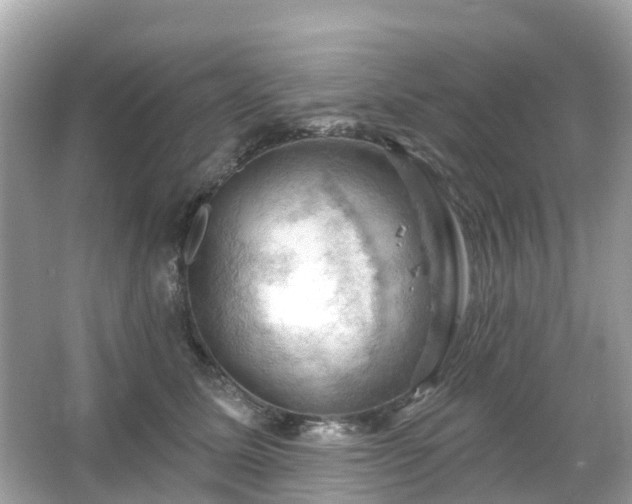 X0000066090611200603131205