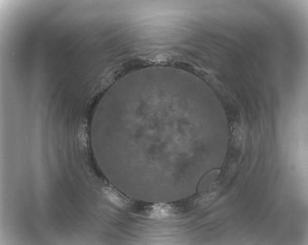 X0000066090612200603131205