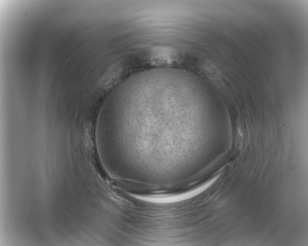 X0000066090616200603131205