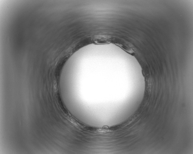 X0000066090617200603131205