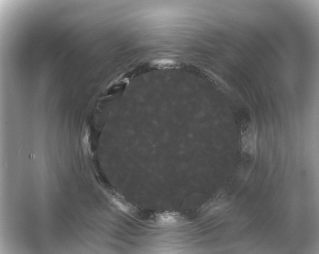 X0000066090618200603131205