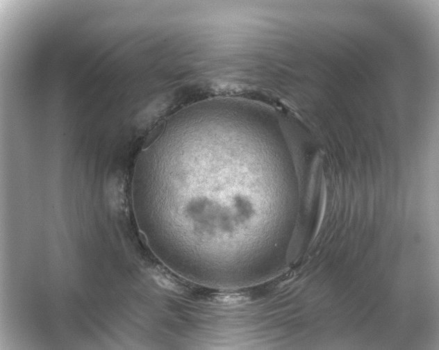 X0000066090619200603131205