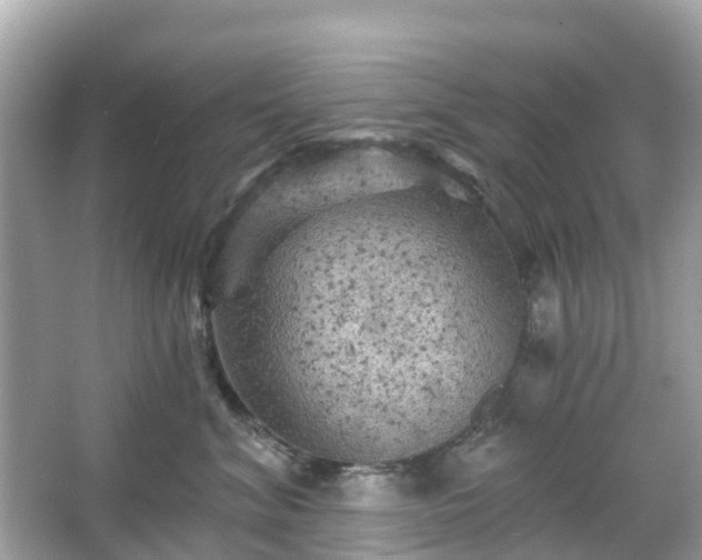 X0000066090620200603131205