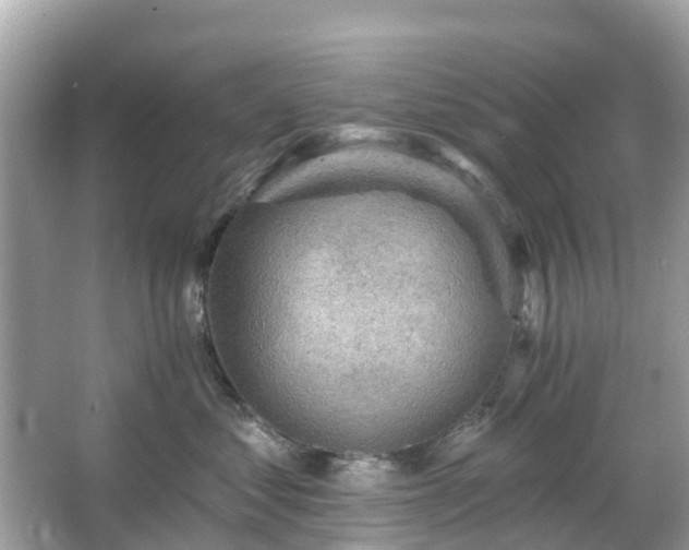 X0000066090621200603131205