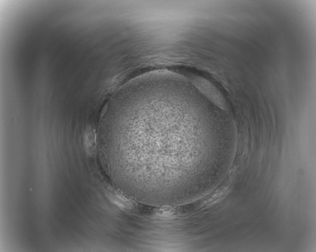 X0000066090624200603131205