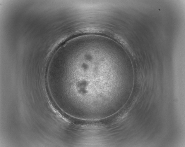 X0000066090625200603131204