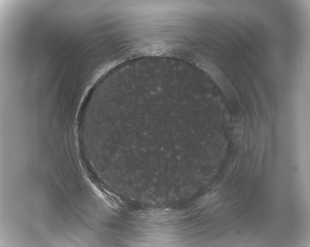 X0000066090626200603131204