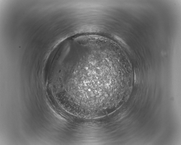 X0000066090627200603131204