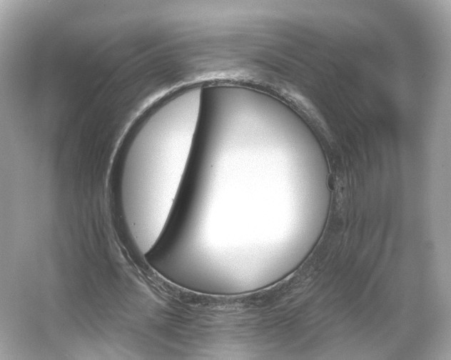 X0000066090628200603131204