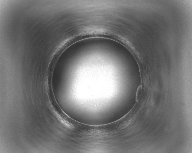 X0000066090629200603131204