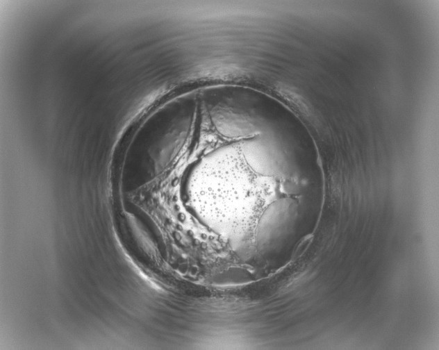 X0000066090630200603131204