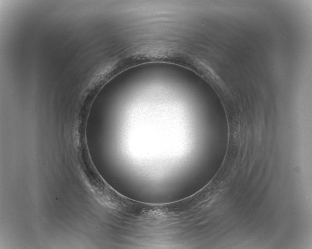 X0000066090635200603131204