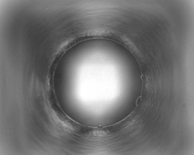 X0000066090636200603131205