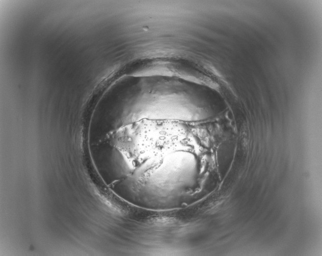 X0000066090637200603131205